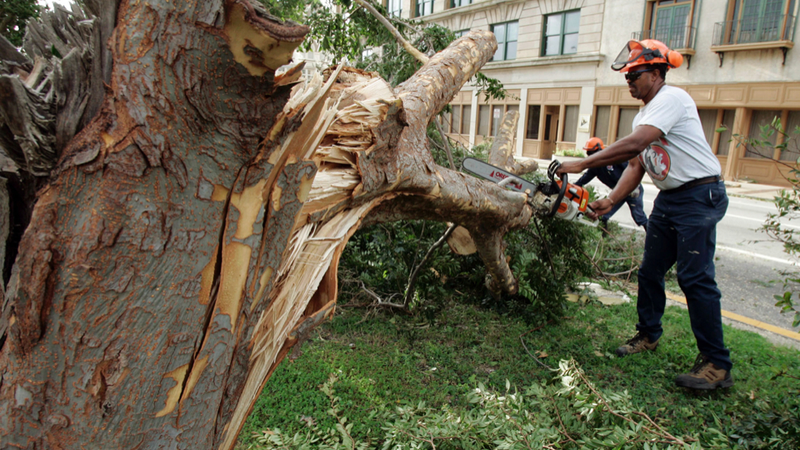 Illustration for article titled Seven Easily Avoidable Ways To Die In A Hurricane